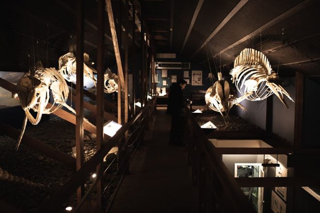 Dentro del museo de ballenas de Husavik