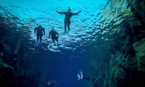 Tour de esnórquel en grupo reducido en Silfra | Fotos submarinas gratis