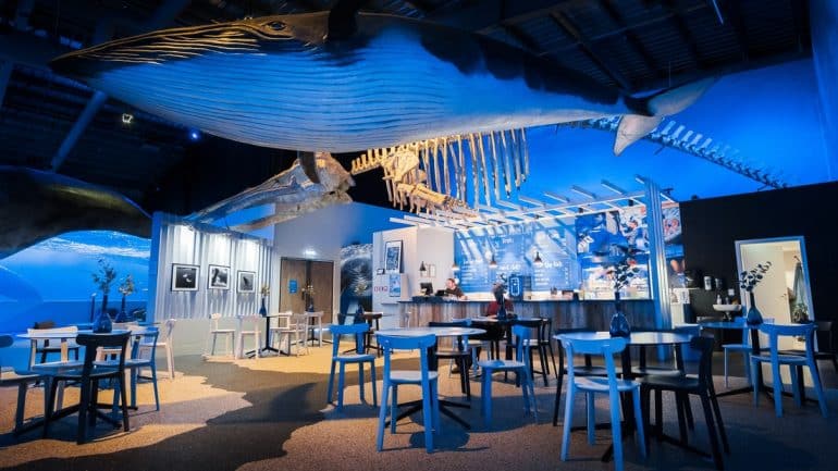 El café en la Exposición de Ballenas de Islandia en Reykjavik