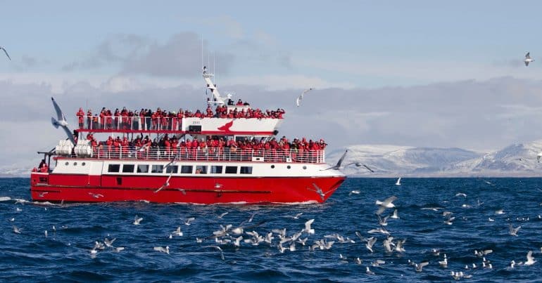 Un barco de avistamiento de ballenas en Islandia.