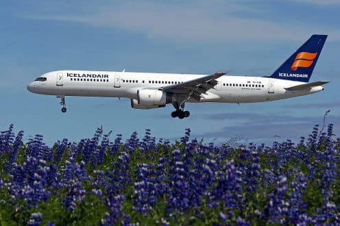 Un avión volando sobre flores de lupino azul.