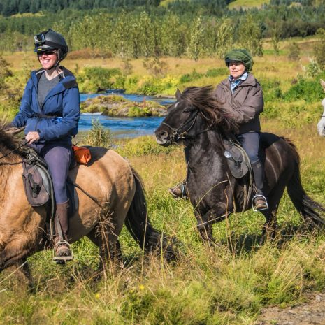 People riding Icelandic horses through the countryside