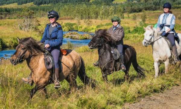 Gente montando caballos islandeses por el campo