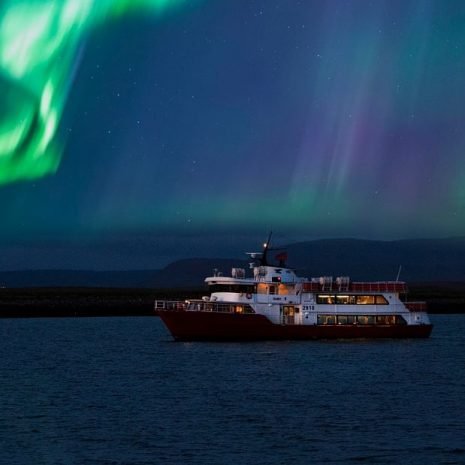 Excursion en bateau sur les aurores boréales au départ de Reykjavik