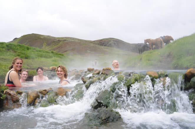 People in a natural hot spring in Iceland with horses in the background.