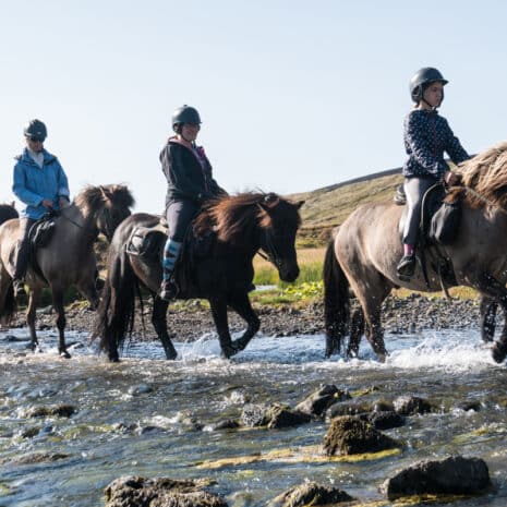 Balade à cheval et baignade dans une source chaude au départ de Reykjavik