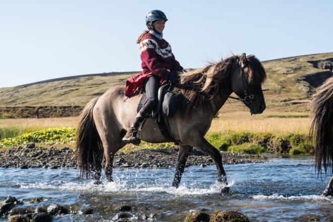 Una mujer montando un caballo islandés a través de un río.
