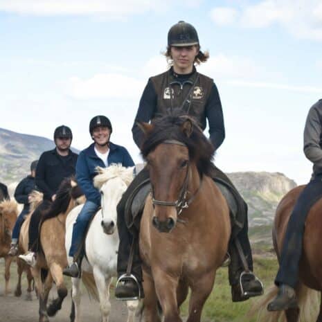 Un grupo de personas montando caballos islandeses en verano.