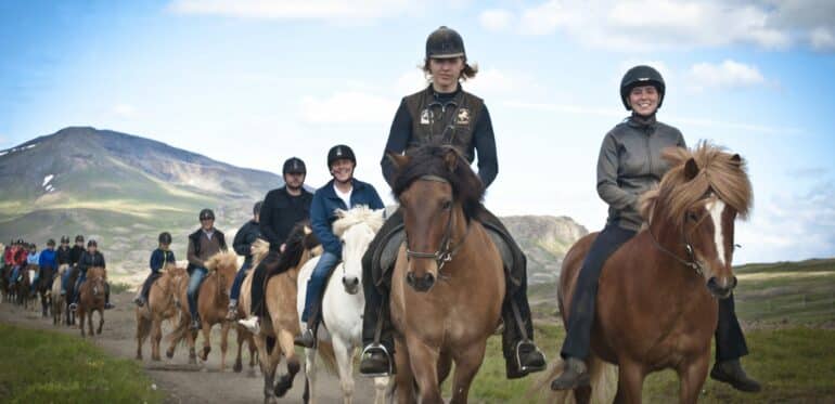 Un groupe de personnes montant des chevaux islandais en été.