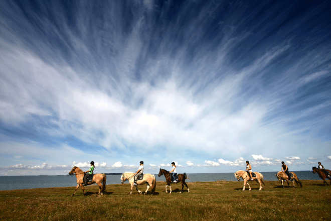 A group of people riding the Icelandic horse with ocean and mountains in the backdrop.
