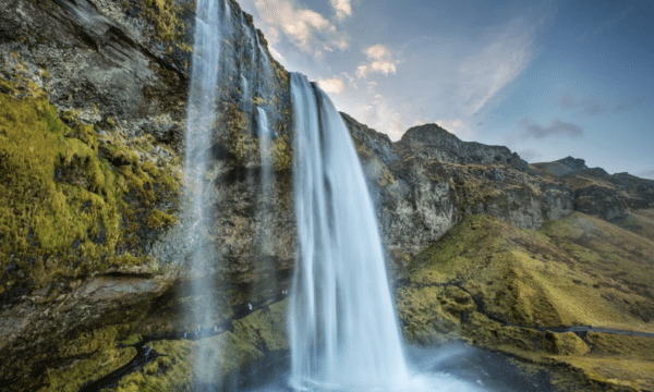 The tall Seljalandsfoss Waterfall in South Iceland with people walking behind the falling water.