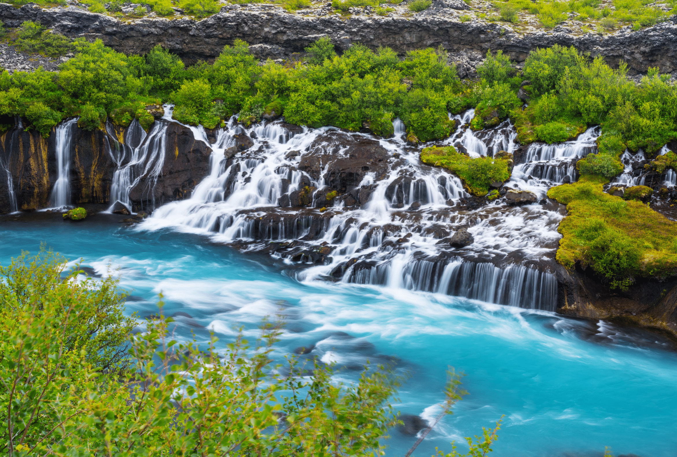 Water flowing down a lava field into a river at Hraunfossar waterfalls in West-Iceland, surrounded by greenery.