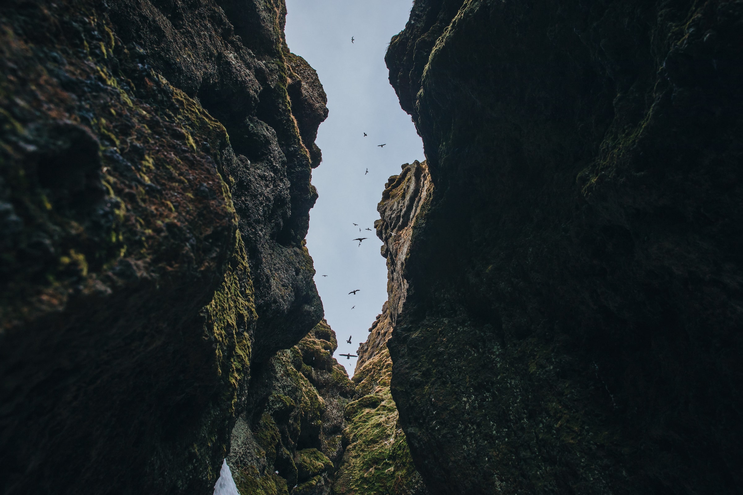 Vue de dessous entre des rochers majestueux au ciel bleu avec des oiseaux volants, gorge de Raudfeldsgja, Islande.