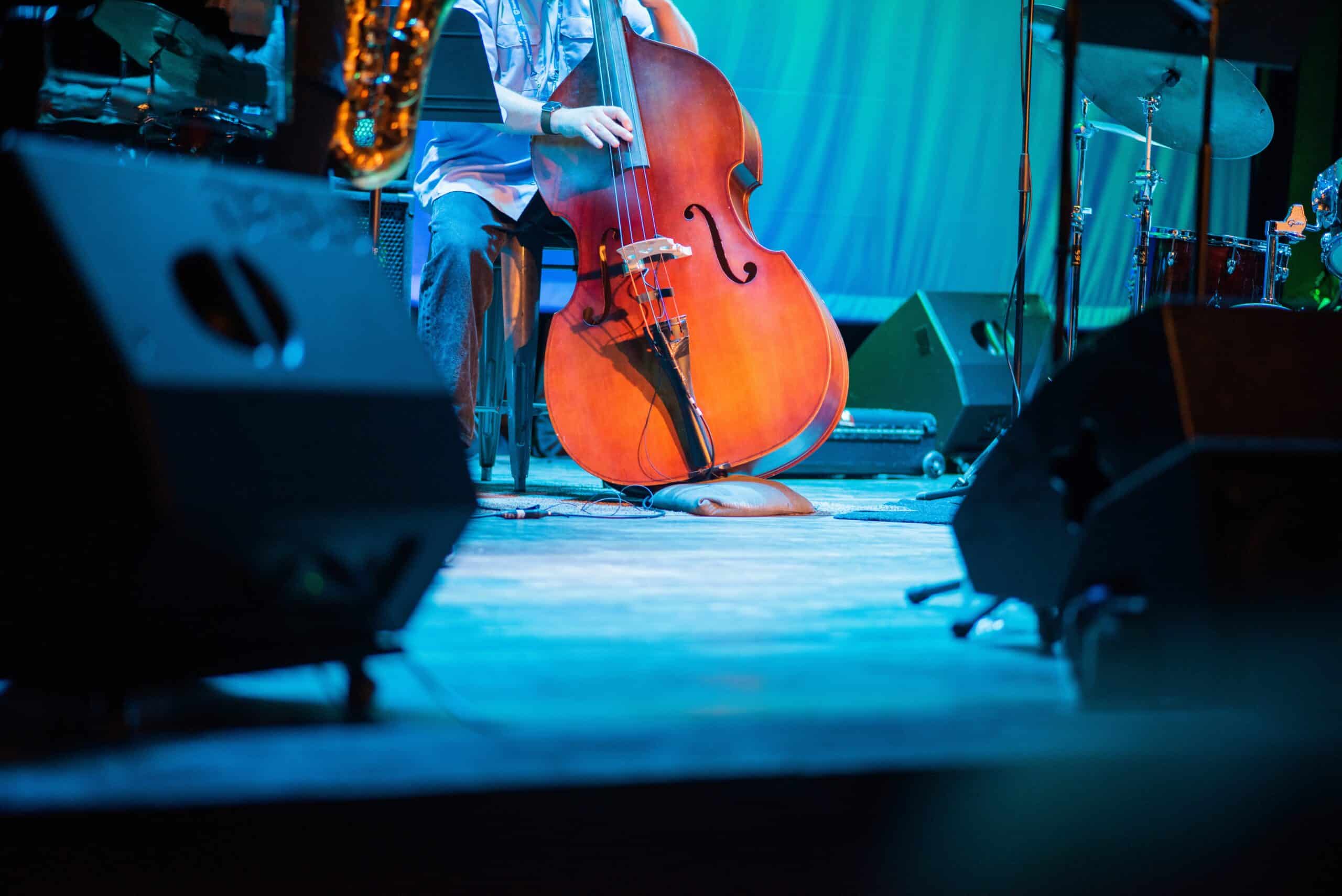 Double bassist performing on stage seen from crowd