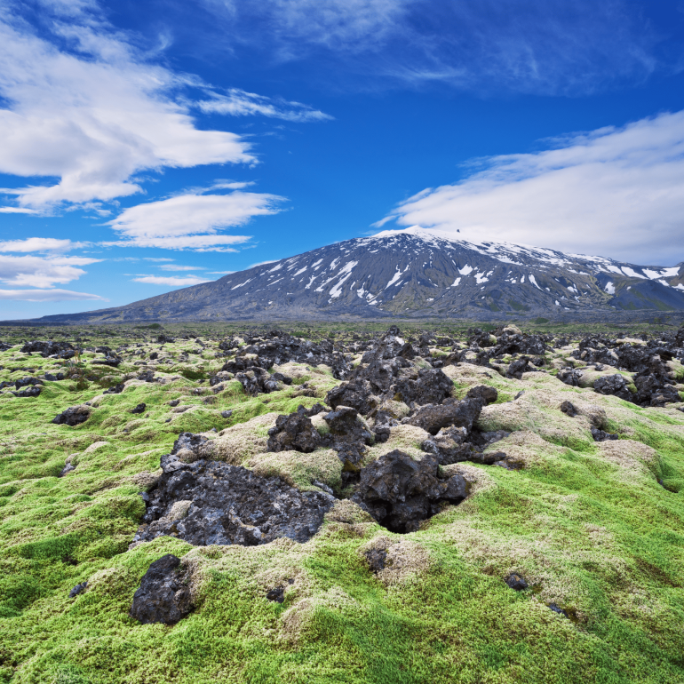 Campo de lava cubierto de musgo frente al glaciar Snæfellsjökull en Islandia.